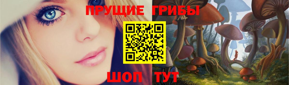 Галлюциногенные грибы Magic Shrooms Междуреченск